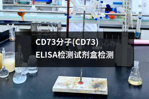 CD73分子(CD73)ELISA检测试剂盒检测