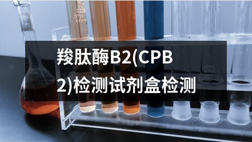 羧肽酶B2(CPB2)检测试剂盒检测