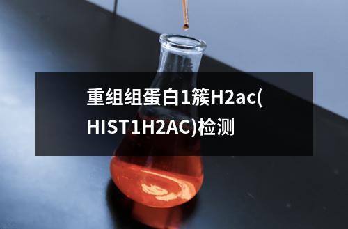 重组组蛋白1簇H2ac(HIST1H2AC)检测