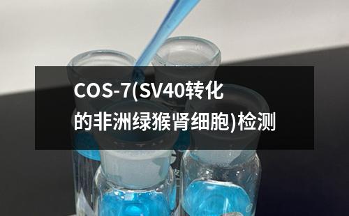 COS-7(SV40转化的非洲绿猴肾细胞)检测