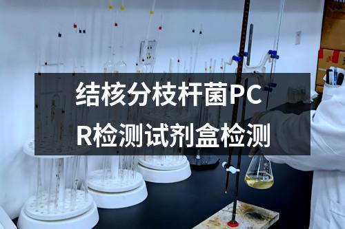 结核分枝杆菌PCR检测试剂盒检测