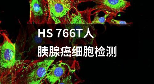 HS 766T人胰腺癌细胞检测