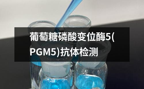 葡萄糖磷酸变位酶5(PGM5)抗体检测