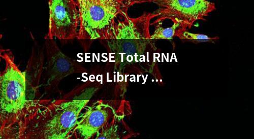 SENSE Total RNA-Seq Library Prep Kit检测