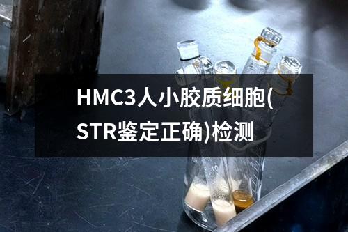 HMC3人小胶质细胞(STR鉴定正确)检测