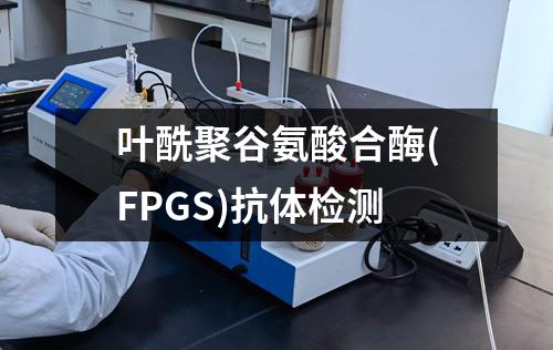 叶酰聚谷氨酸合酶(FPGS)抗体检测