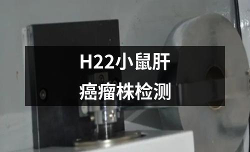 H22小鼠肝癌瘤株检测