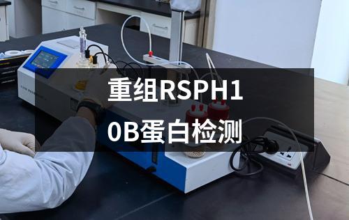 重组RSPH10B蛋白检测