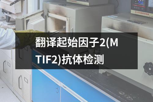 翻译起始因子2(MTIF2)抗体检测