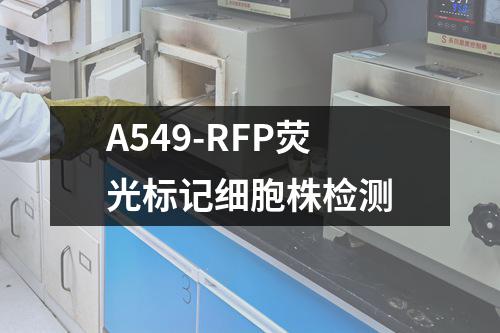 A549-RFP荧光标记细胞株检测