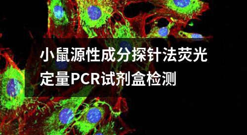 小鼠源性成分探针法荧光定量PCR试剂盒检测