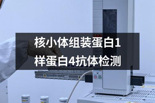 核小体组装蛋白1样蛋白4抗体检测