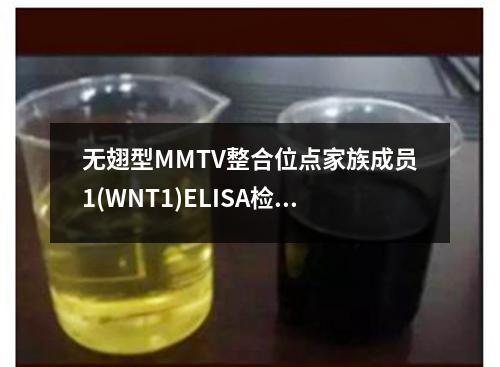 无翅型MMTV整合位点家族成员1(WNT1)ELISA检测试剂盒检测