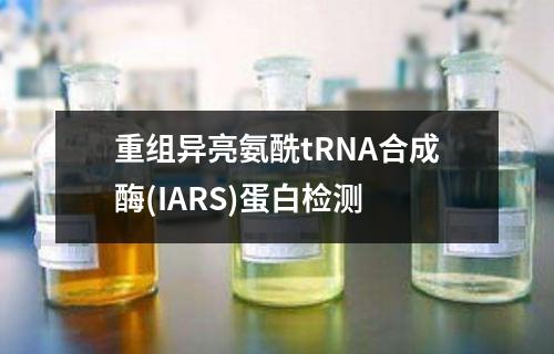 重组异亮氨酰tRNA合成酶(IARS)蛋白检测