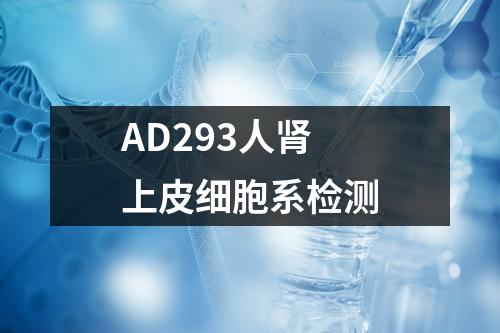 AD293人肾上皮细胞系检测