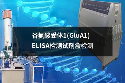 谷氨酸受体1(GluA1)ELISA检测试剂盒检测