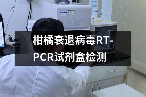 柑橘衰退病毒RT-PCR试剂盒检测