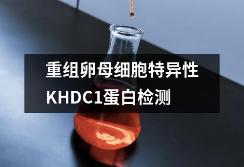 重组卵母细胞特异性KHDC1蛋白检测