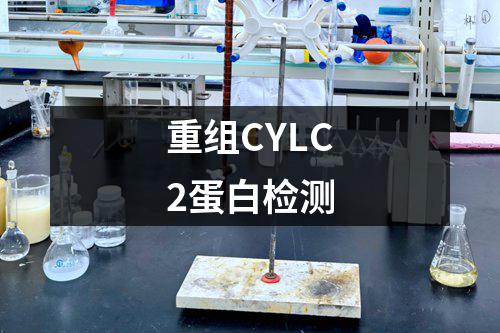 重组CYLC2蛋白检测