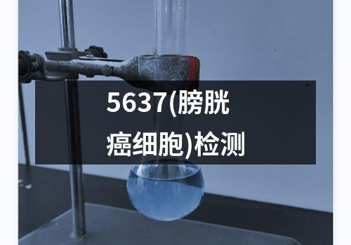 5637(膀胱癌细胞)检测