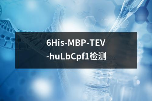 6His-MBP-TEV-huLbCpf1检测