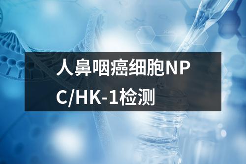 人鼻咽癌细胞NPC/HK-1检测