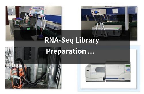 RNA-Seq Library Preparation Kit for Whole Transcriptome Discovery检测