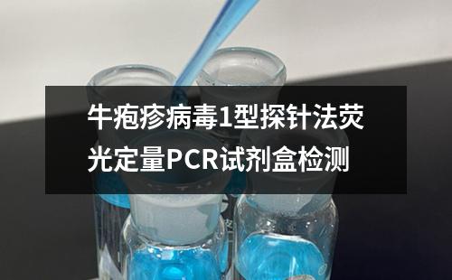 牛疱疹病毒1型探针法荧光定量PCR试剂盒检测