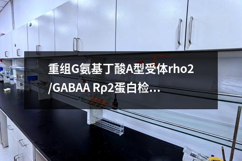 重组G氨基丁酸A型受体rho2/GABAA Rρ2蛋白检测