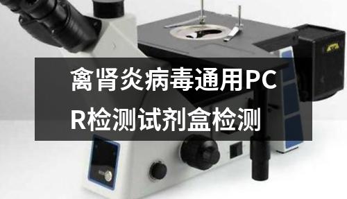 禽肾炎病毒通用PCR检测试剂盒检测