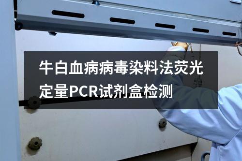 牛白血病病毒染料法荧光定量PCR试剂盒检测