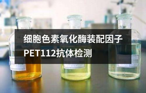 细胞色素氧化酶装配因子PET112抗体检测