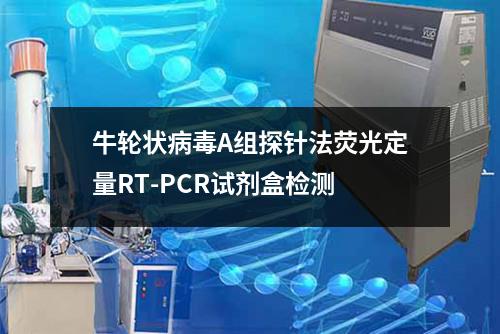 牛轮状病毒A组探针法荧光定量RT-PCR试剂盒检测