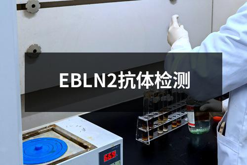 EBLN2抗体检测