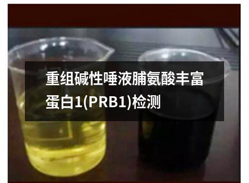 重组碱性唾液脯氨酸丰富蛋白1(PRB1)检测