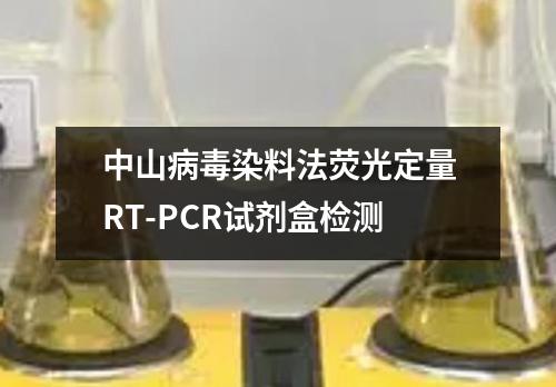 中山病毒染料法荧光定量RT-PCR试剂盒检测