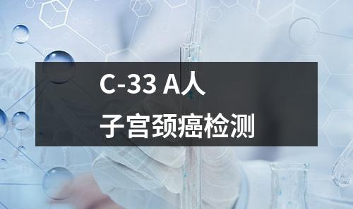 C-33 A人子宫颈癌检测