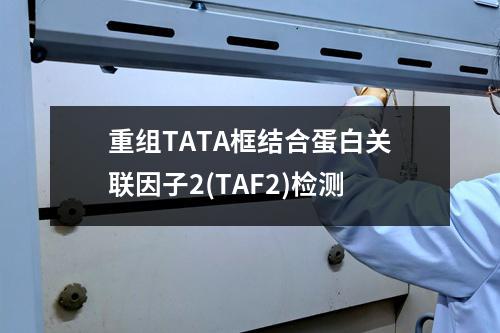 重组TATA框结合蛋白关联因子2(TAF2)检测