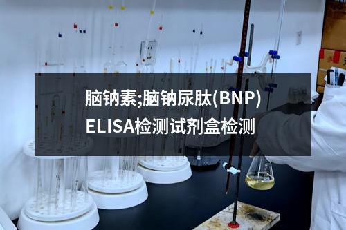 脑钠素;脑钠尿肽(BNP)ELISA检测试剂盒检测