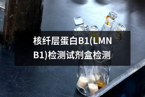 核纤层蛋白B1(LMNB1)检测试剂盒检测