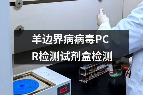 羊边界病病毒PCR检测试剂盒检测