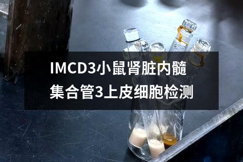 IMCD3小鼠肾脏内髓集合管3上皮细胞检测