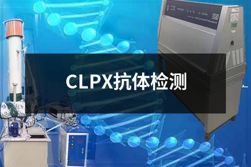 CLPX抗体检测