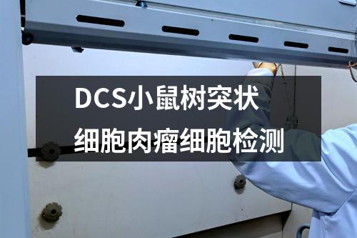 DCS小鼠树突状细胞肉瘤细胞检测