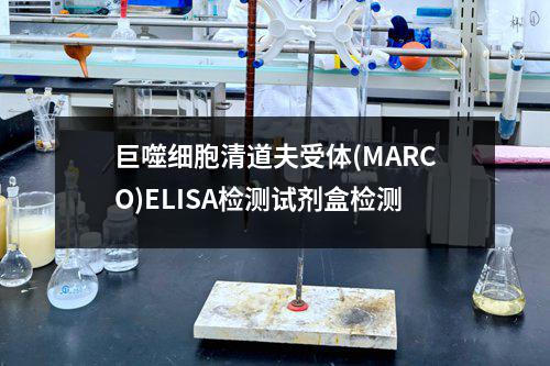 巨噬细胞清道夫受体(MARCO)ELISA检测试剂盒检测