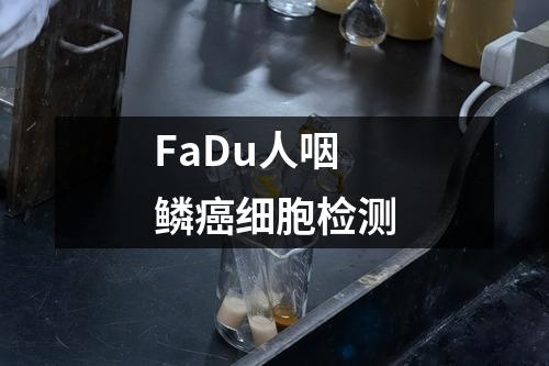 FaDu人咽鳞癌细胞检测