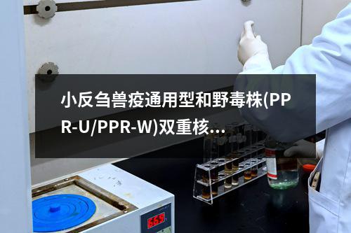 小反刍兽疫通用型和野毒株(PPR-U/PPR-W)双重核酸试剂盒检测