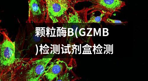 颗粒酶B(GZMB)检测试剂盒检测