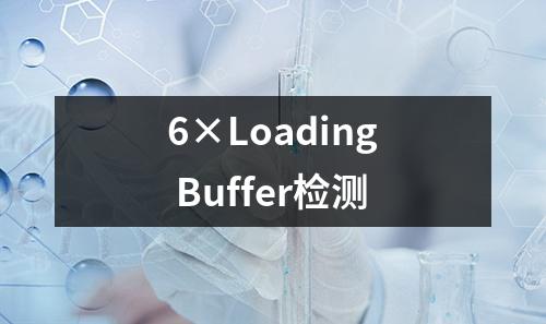 6×Loading Buffer检测