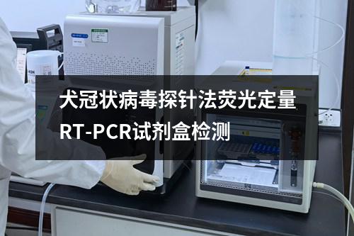 犬冠状病毒探针法荧光定量RT-PCR试剂盒检测